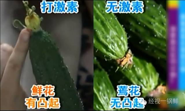 夏季蔬菜農藥殘留排行榜 夏季蔬菜農藥殘留排行榜