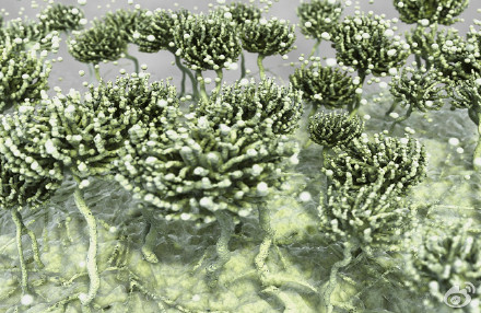 食品安全檢測儀器,水分儀,固含量,肉類水分儀,ATP熒光,農藥殘留,藥物殘留.深圳市芬析儀器制造有限公司 食品安全檢測儀器,水分儀,固含量,肉類水分儀,ATP熒光,農藥殘留,藥物殘留.深圳市芬析儀器制造有限公司